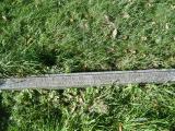image of grave number 268257